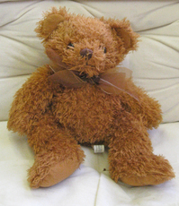 Teddybär 007.jpg
